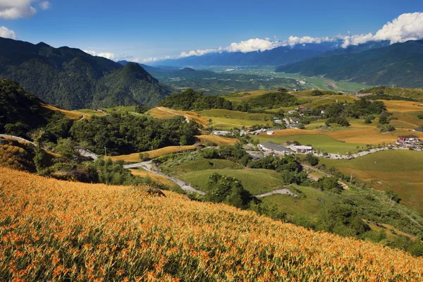 köy yeşil sqoyaw Dağları'nda kuş görünümü