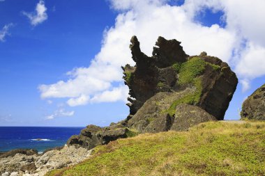 Güzellik ejderha kafa Rock Tayvan orkide adada