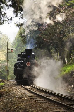buharlı tren changhua Tayvan yeşil ormanında