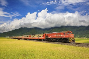 Ali tren Tayvan sarı field yakınındaki