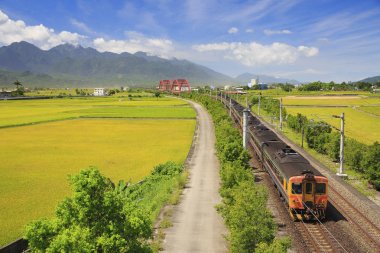 Kırmızı kecheng demir köprü Tayvan yeşil alan yakınındaki tren ile