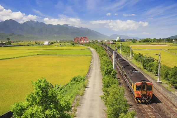 Kırmızı kecheng demir köprü Tayvan yeşil alan yakınındaki tren ile