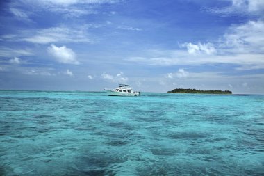 white ship near Half Moon Caye island and natural monument of Belize located at the southeast corner of Lighthouse Reef Atoll. clipart