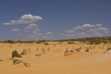 Pinnacles kireçtaşı oluşumları Nambung Milli Parkı içinde Cervantes, Batı Avustralya, yakınındaki vardır