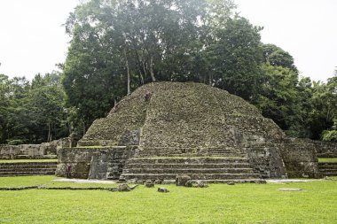 Caracol Maya Harabeleri, güneşli bir gün