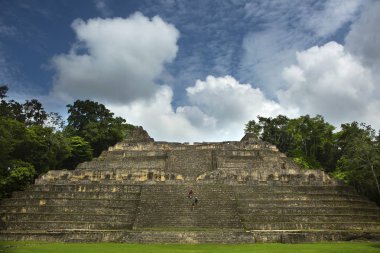 Caracol Maya Harabeleri, güneşli bir gün