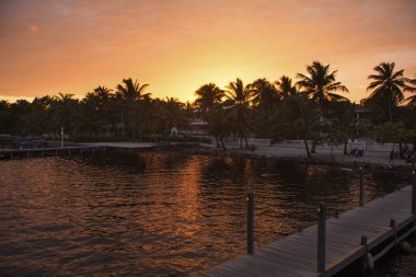 gün batımı zamanında kumlu plajı ve Hindistan cevizi ağaçları ile deniz kıyısı