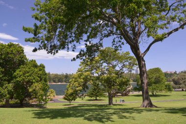 Royal Botanik Bahçesi, Sydney, Avustralya 