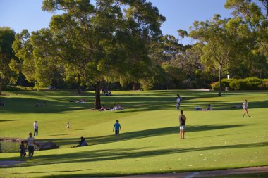Doğal görünümü, Kings Park ve Botanik Bahçesi