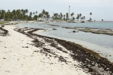 Half Moon Caye Adası ve deniz feneri Reef Atoll güneydoğu köşesinde bulunan Belize doğal anıt doğal deniz manzarası.