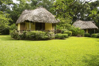 yeşil otlak üzerinde thatched house fotoğrafı.