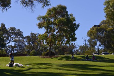Doğal görünümü, Kings Park ve Botanik Bahçesi