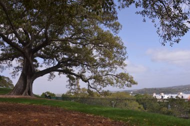 Sydney Observatory bölge manzaraya gündüz