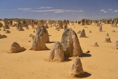 Pinnacles kireçtaşı oluşumları Nambung Milli Parkı içinde Cervantes, Batı Avustralya, yakınındaki vardır