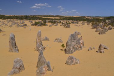 Pinnacles kireçtaşı oluşumları Nambung Milli Parkı içinde Cervantes, Batı Avustralya, yakınındaki vardır