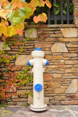 Yangın Hidrant Krems-arazi bölgesinde, içinde Avusturya Devlet Aşağı Avusturya Tuna Nehri üzerinde Durnstein kasabanın. 