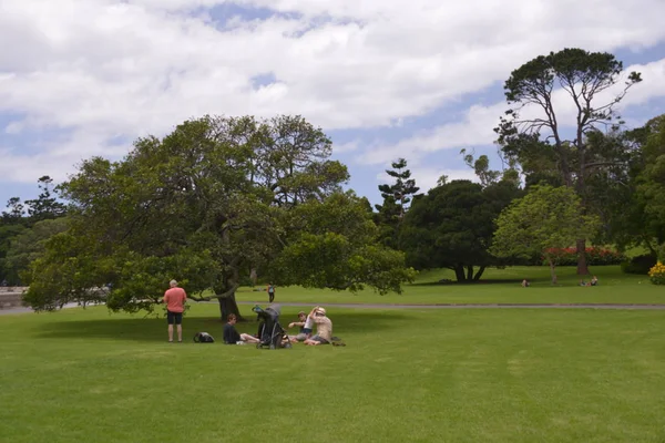 Королевский Ботанический Сад Сидней Австралия — стоковое фото