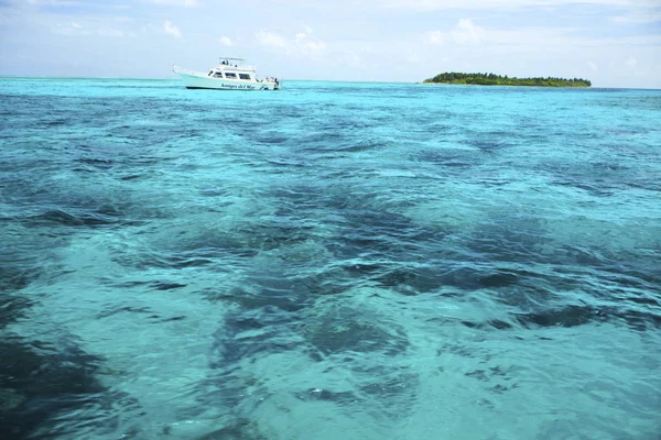 Zdjęcie Pięknym Tropikalnym Miejsce Secreto Resort San Pedro Belize — Zdjęcie stockowe