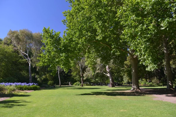 Vista Panorámica Del Jardín Botánico Adelaida — Foto de Stock