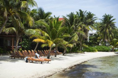 San Pedro, Belize güzel tropikal yer fotoğrafı