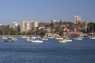 Doğal görünümü Sydney Harbour, Avustralya