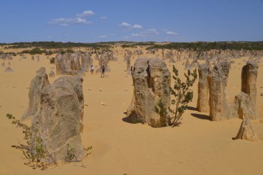 Pinnacles kireçtaşı oluşumları Nambung Milli Parkı içinde Cervantes, Batı Avustralya, yakınındaki vardır