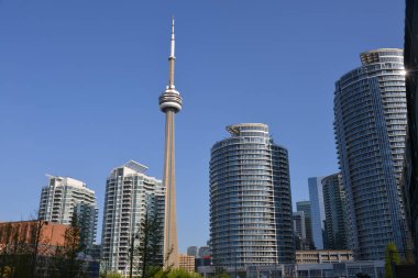 Sydney Cn Kulesi ile cadde görünümü güneşli gün