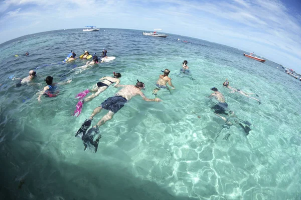 Snorkling Personer Blå Havsvatten Chan Marine Reserve Och Shark Ray — Stockfoto