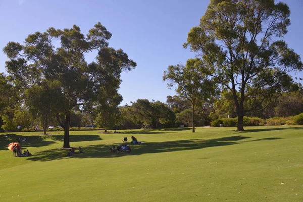 Scenic View Kings Park Botanic Garden — Stock Photo, Image