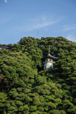 Ağaçların arasında bir ev. Doğa