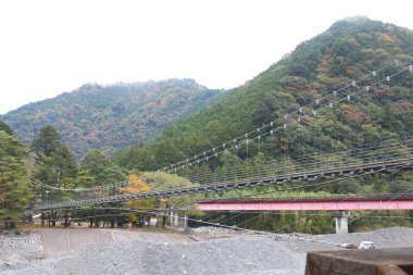 Yeşil dağlardan geçen asma köprü