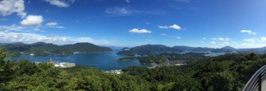 Deniz manzaralı yeşil bir ada. 