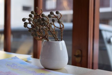 Seramik vazoda kuru bitki