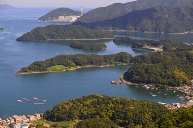 Deniz manzaralı yeşil bir ada. 