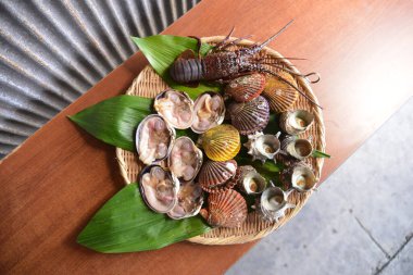 Seaffod 'u masaya kapatın. 