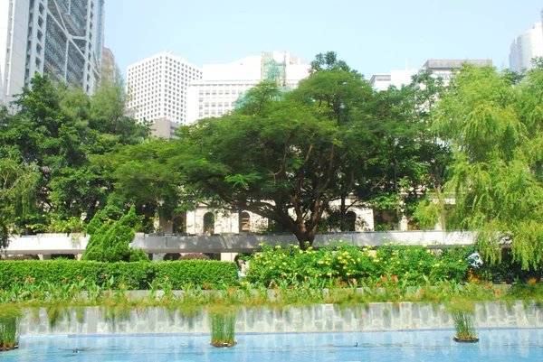 Green Park Urban Skyline Background Hong Kong China — Stock Photo, Image