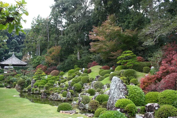 Jardim Japonês Com Árvores Verdes — Fotografia de Stock