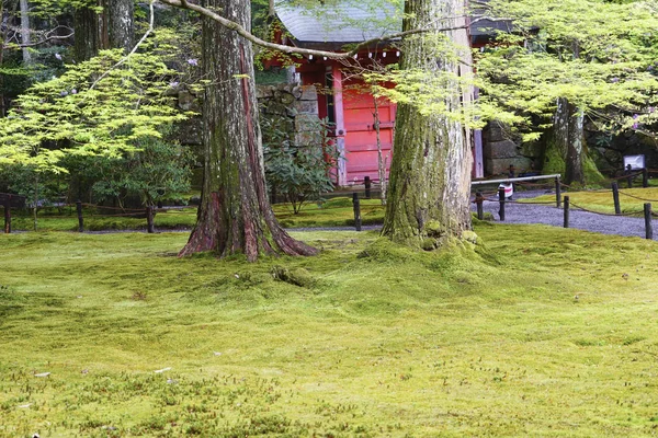 Parque Verde Antigo Ohara Japão — Fotografia de Stock