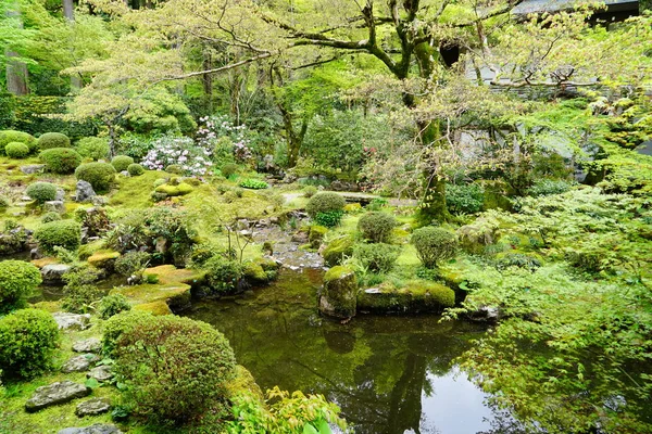 Green Park Pond Japan — Stock Photo, Image