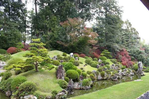 Jardim Japonês Com Árvores Verdes — Fotografia de Stock