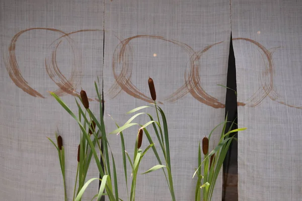 Тростник Льняным Фоном — стоковое фото