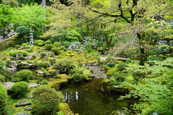 Green Park Pond Japan — Stock Photo, Image