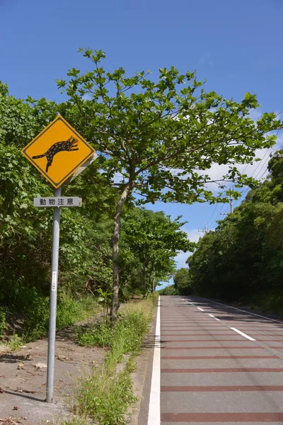 Signo Carretera Con Racoon Cerca Del Parque Verde — Foto de Stock
