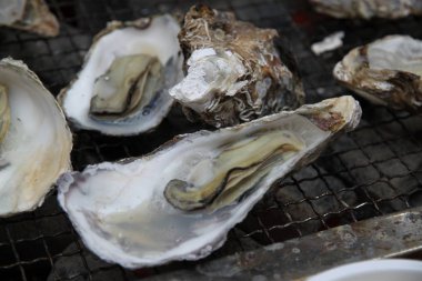 Izgara ızgarasında taze çiğ istiridye.