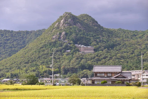 与字段和山景观 — 图库照片