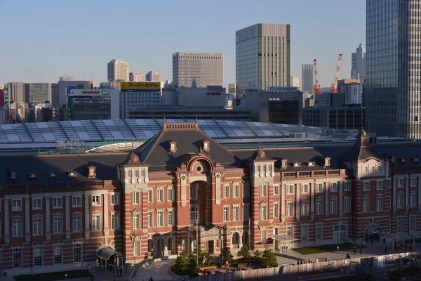 Pozorování Pohledu Tokio Japonsko — Stock fotografie