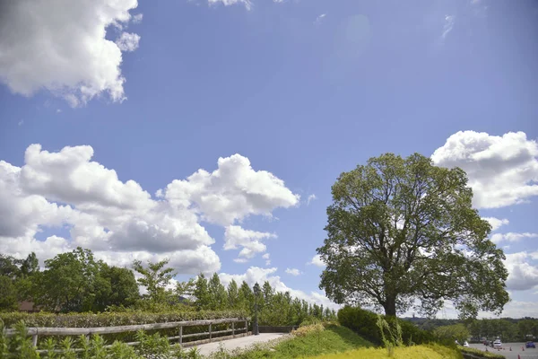 Shiga Blumen Hugel Çiftliği Japonya — Stok fotoğraf