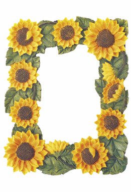 Durgun ayçiçeğinin portresi Beyaz arkaplanda Çerçeve