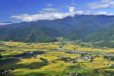 Çiftliğin yüksek açılı görüntüsü