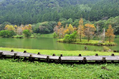 Parkın manzaralı görüntüsü